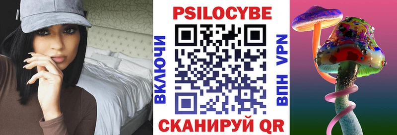 как найти наркотики  Жирновск  Галлюциногенные грибы прущие грибы 